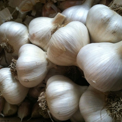 Korean Mountain Garlic