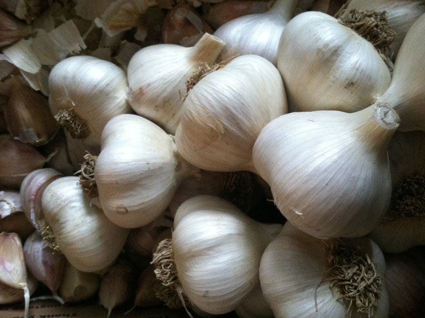 Korean Mountain Garlic