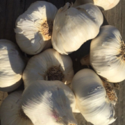 Asian Tempest Organic Garlic