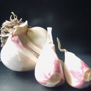 Asiatic Garlic - Mad River Garlic Growers